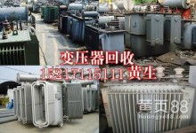綠色循環(huán)的踐行者 東莞市橫瀝宇順再生資源回收廠